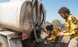 Greenpeace sostiene que una jueza de Tartagal ha autorizado la usurpación de una finca privada