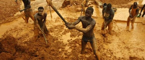 La ONU advierte que el crimen ambiental genera 213.000 millones de dólares al año