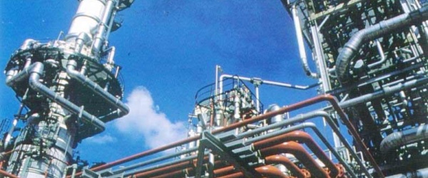 Un juez de Metán inspecciona la planta de Nitratos Austin en El Galpón