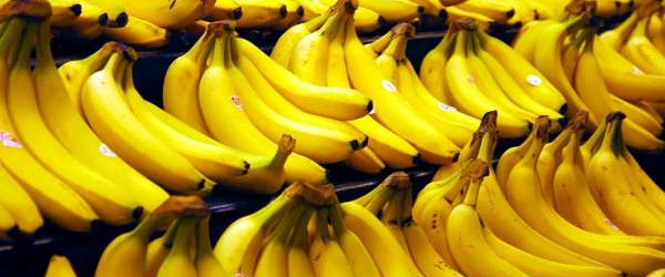 Programa mundial para contener al Fusarium TR4, una grave amenaza para los bananos