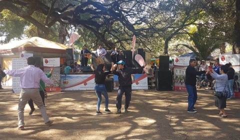 Gato con relaciones en la feria gastronómica de la Plaza Alvarado