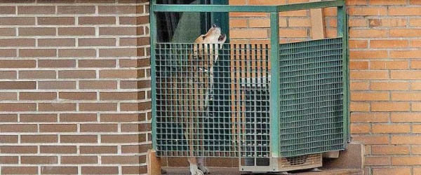 Antecedente reciente en España sobre registro de domicilio por razones sanitarias