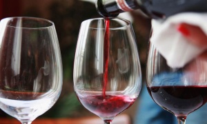 Feria de vinos Degustar Salta, un recorrido por las bodegas argentinas