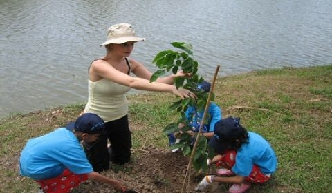 La Municipalidad celebra el Día del Árbol plantando 20 jaboneros