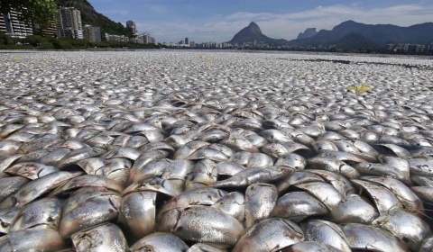 Acuerdo mundial prohíbe la contaminación y uso del mercurio