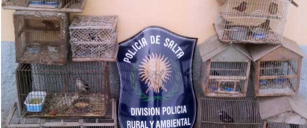 La Policía de Salta desbarata una 'boca de expendio' de aves autóctonas