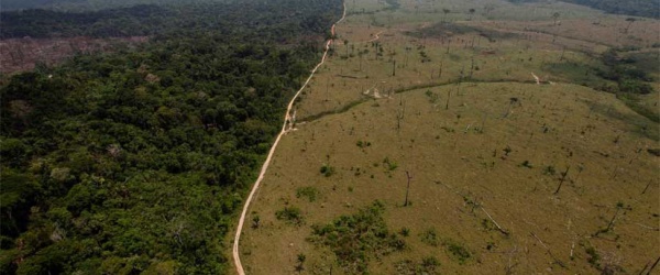 La deforestación, una de las causas de la tragedia en Colombia