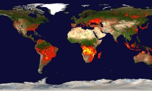 Efectos del cambio climático sobre la biodiversidad