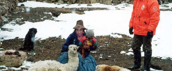Adaptación al cambio climático: Mantas térmicas para alpacas