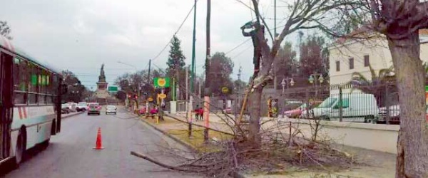 Poda y despeje, para un Milagro limpio y sin obstáculos visuales