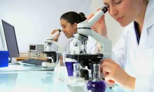 Semana Internacional de la Ciencia y la Paz