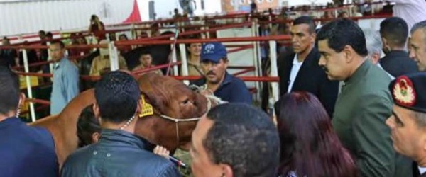 Así como Maduro habla a las vacas, Urtubey debería hacer lo mismo con los perros
