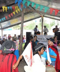 Carnaval centenario