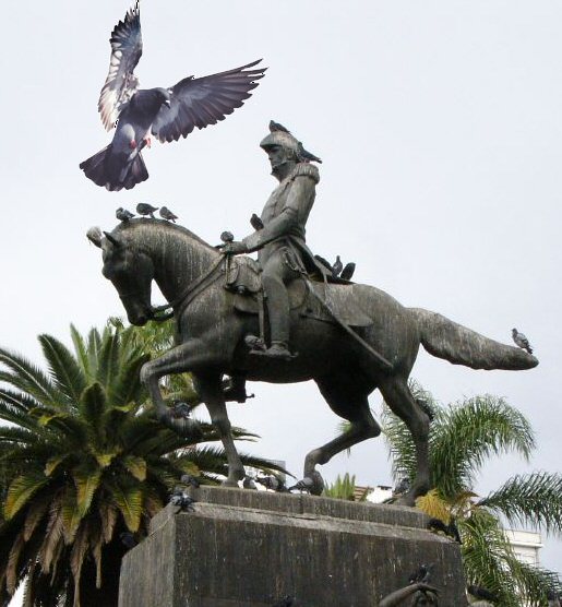 Las palomas y Arenales