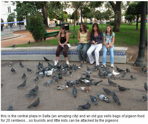 Sorprendente descubrimiento