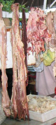 Toncoro